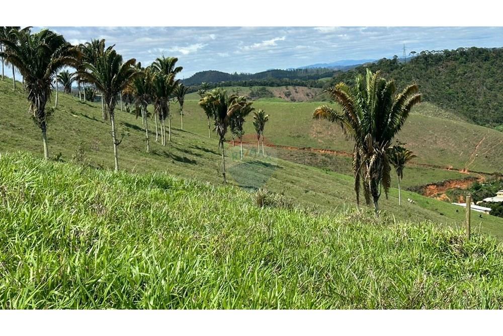 Chácara / Sítio / Fazenda - Venda - Juiz de Fora , Minas Gerais - fda4e706-687d-4f28-b703-5f5011159c5d.JPG - 860291033-68
