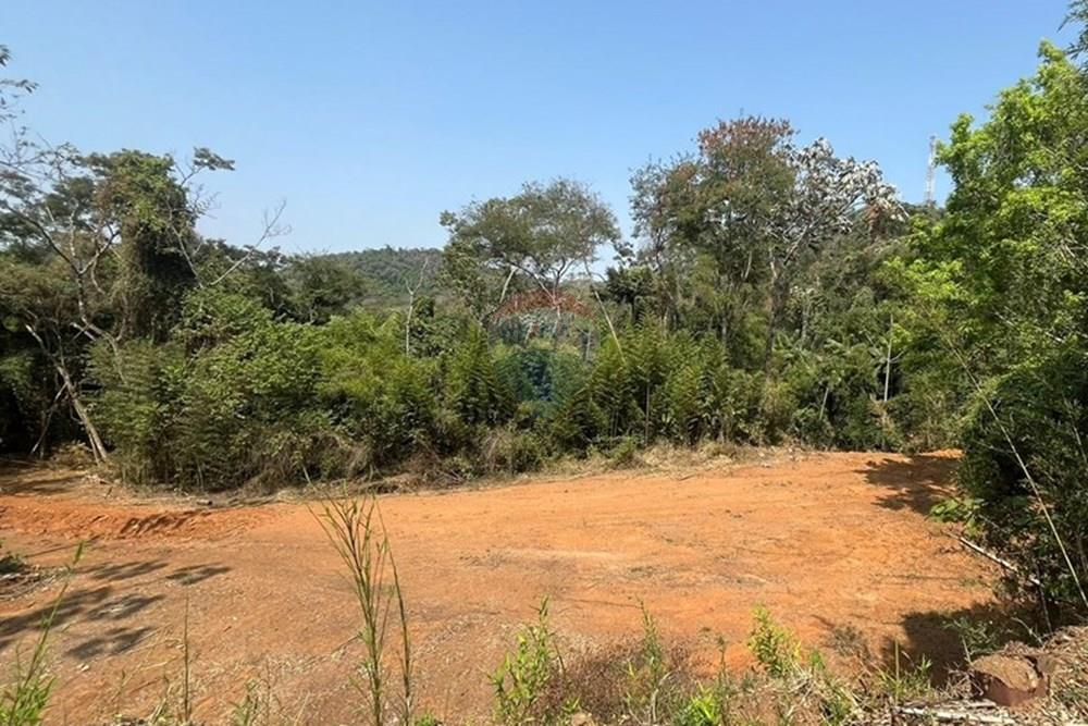 Chácara / Sítio / Fazenda - Venda - Juiz de Fora , Minas Gerais - IMG-20240918-WA0025.jpg - 860431023-209