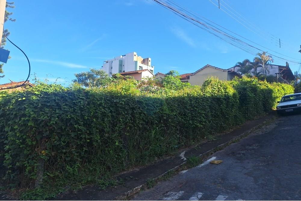 Terreno - Venda - Conselheiro Lafaiete , Minas Gerais - 6145e20d-4482-4dea-916d-a7997c3aaf23.jpeg - 860421002-421