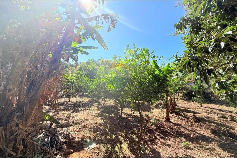 Terreno - Venda - Juiz de Fora , Minas Gerais - WhatsApp Image 2025-09-04 at 15.47.10 (4).jpeg - Quarto de família - 860211077-201