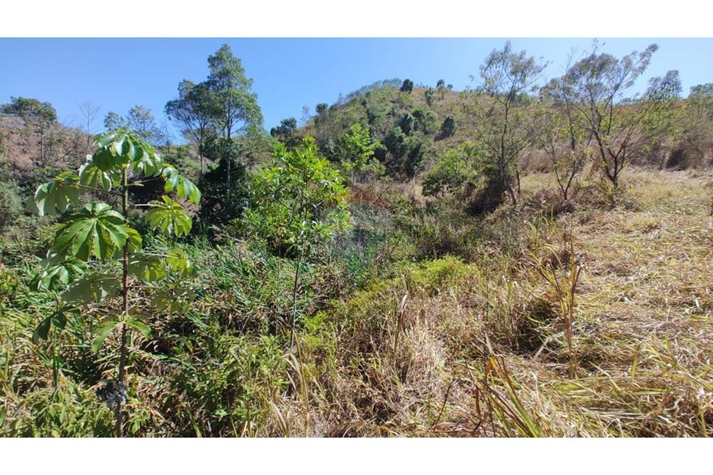 Terreno - Venda - Juiz de Fora , Minas Gerais - 14.JPG - 860291041-16