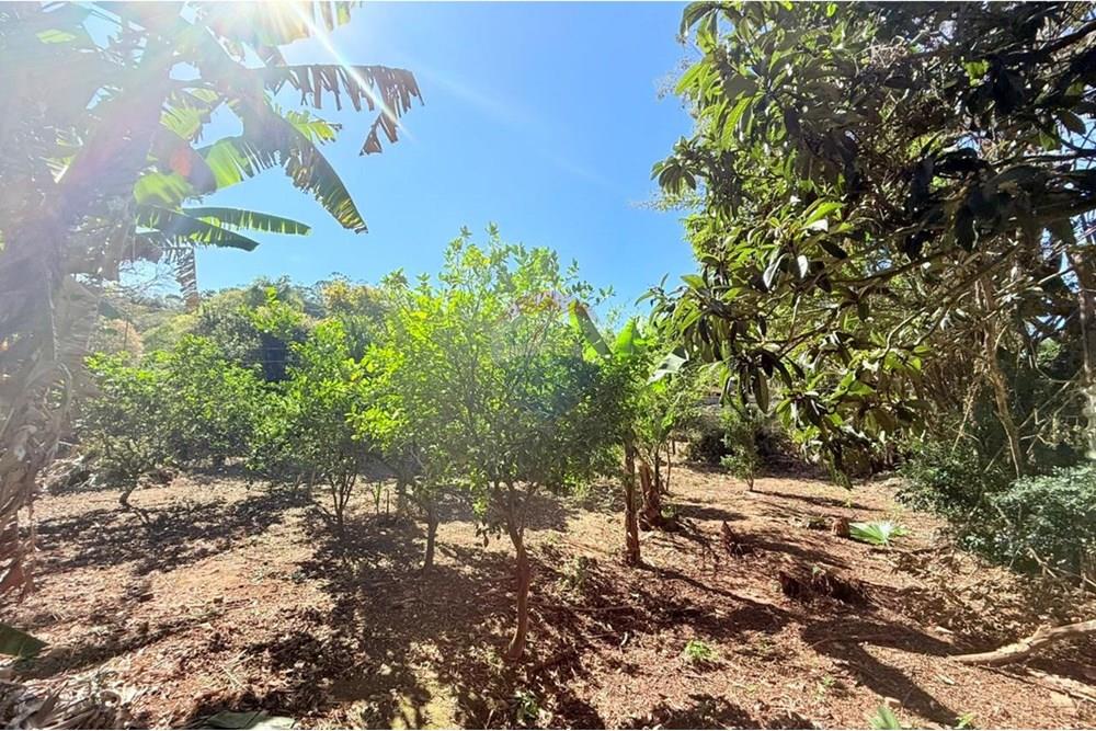 Terreno - Venda - Juiz de Fora , Minas Gerais - WhatsApp Image 2025-09-04 at 15.47.10 (5).jpeg - Quarto infantil - 860211077-201