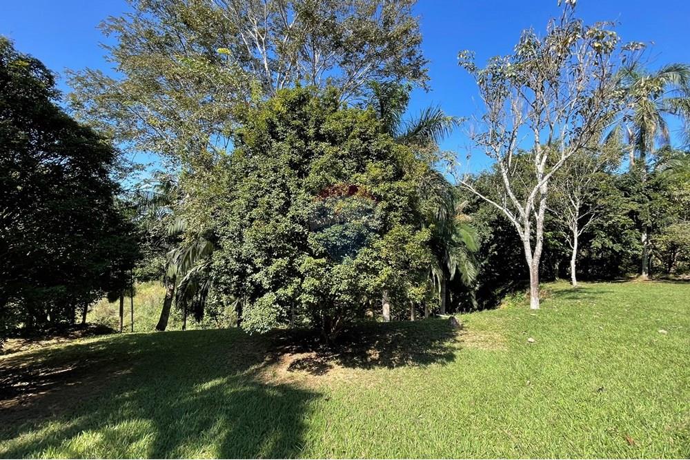 Chácara / Sítio / Fazenda - Venda - Goianá , Minas Gerais - IMG_4498.JPEG - 860301009-486