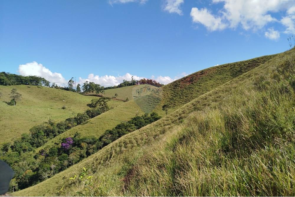 Fazenda - Venda - Barbacena , Minas Gerais - IMG_20250402_150137.jpg - 860391012-32