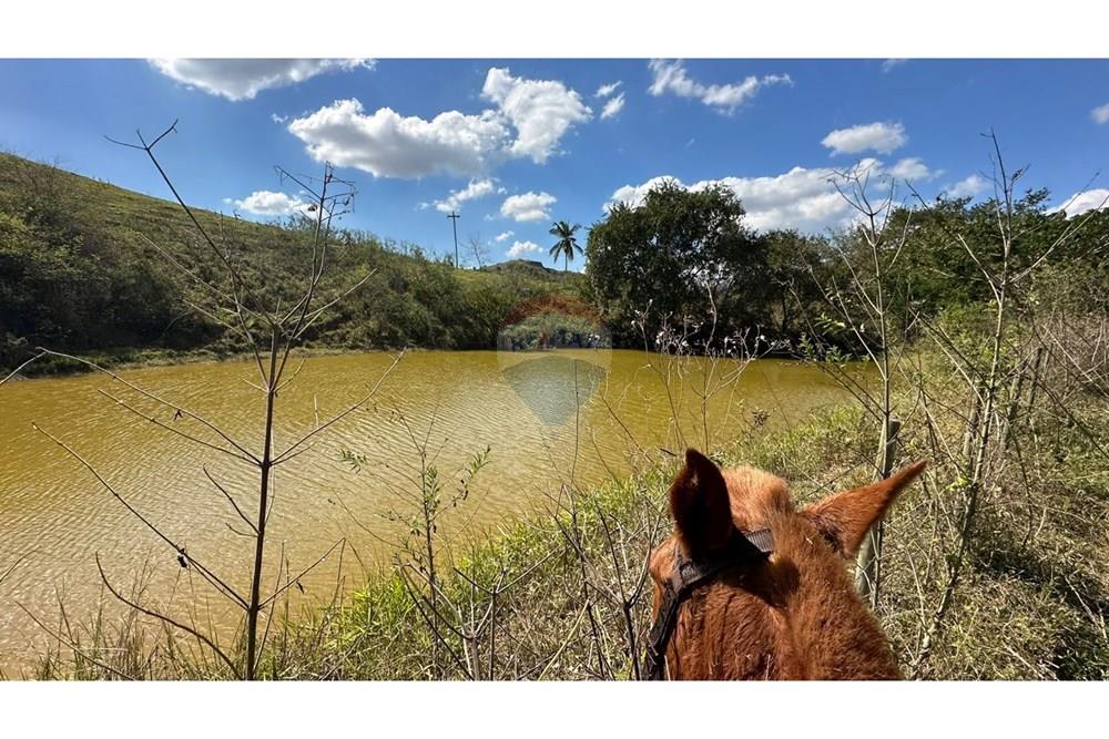 Chácara / Sítio / Fazenda - Venda - Cantagalo , Rio de Janeiro - 944c82fa-c79a-4820-b938-b136e80671a0.JPG - 860291041-3
