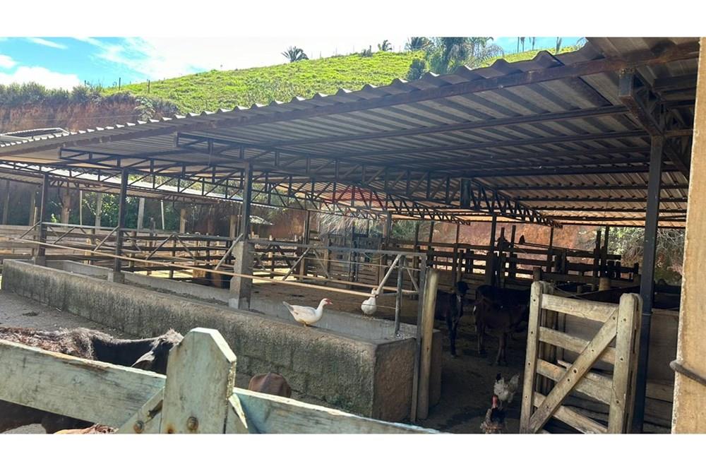 Chácara / Sítio / Fazenda - Venda - Juiz de Fora , Minas Gerais - 44e59fd2-bd81-4acf-a657-8088daa870da.JPG - 860291033-68