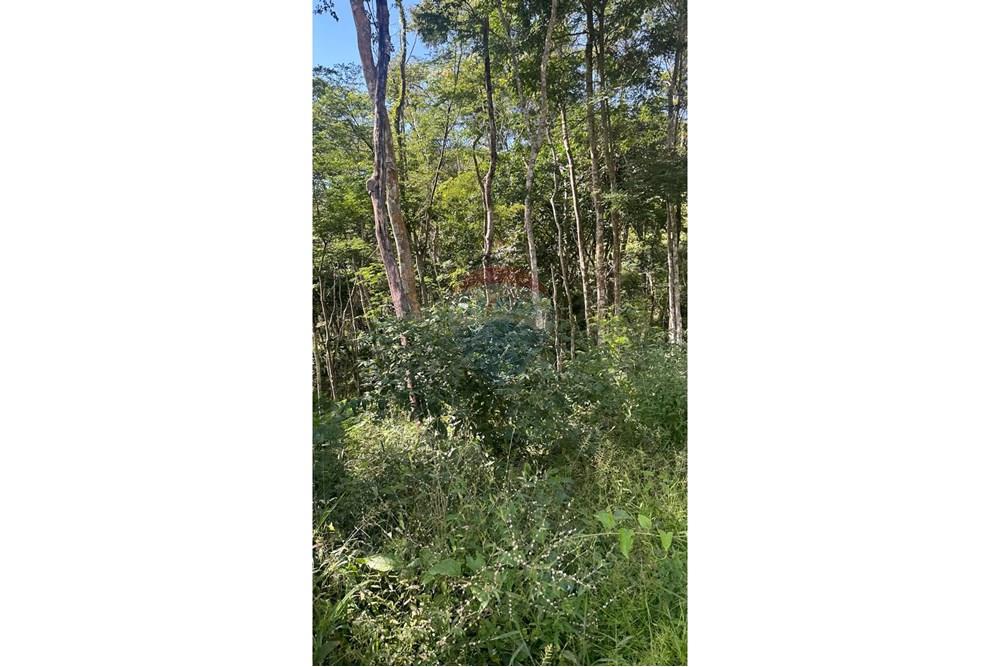 Terreno - Venda - Juiz de Fora , Minas Gerais - 5.JPG - 860291033-96