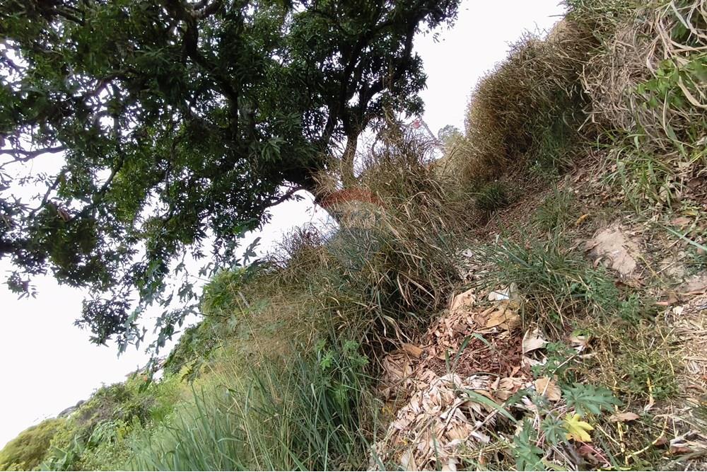 Terreno - Venda - Ribeirão Vermelho , Minas Gerais - IMG_20251019_134015.jpg - 860471037-17