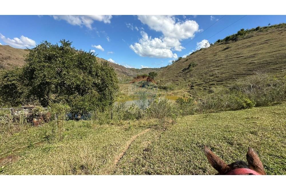 Chácara / Sítio / Fazenda - Venda - Cantagalo , Rio de Janeiro - 37acefcc-b760-48f2-9d18-6ed7b1edde1b.JPG - 860291041-3