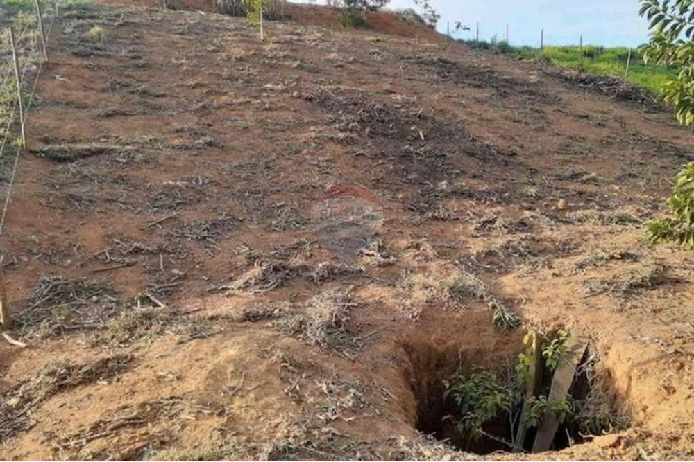 Terreno - Venda - Coronel Pacheco , Minas Gerais - 3-10.jpeg - 860271015-16