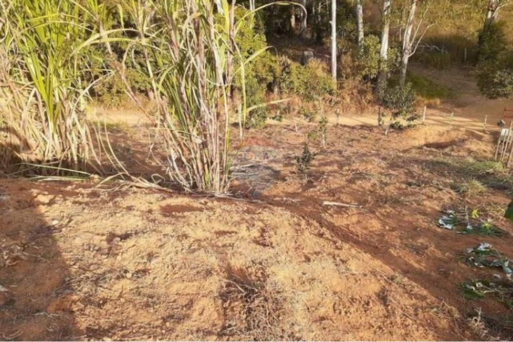 Terreno - Venda - Coronel Pacheco , Minas Gerais - 8-10.jpeg - 860271015-16