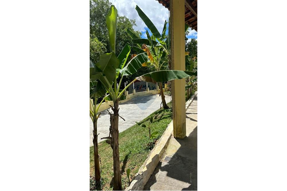 Chácara / Sítio / Fazenda - Venda - São João Nepomuceno , Minas Gerais - 125be95e-46b1-4421-9939-dff106a49de9.JPG - 860291033-93