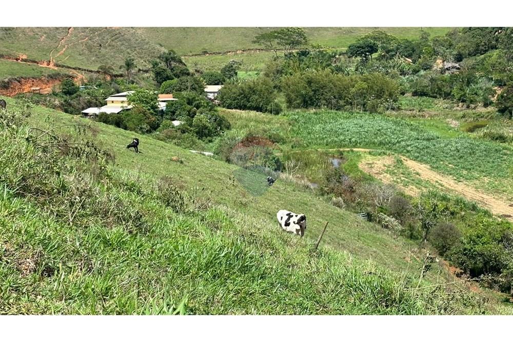 Chácara / Sítio / Fazenda - Venda - Juiz de Fora , Minas Gerais - eee39c83-fbe3-4970-b157-101801ffd147.JPG - 860291033-68