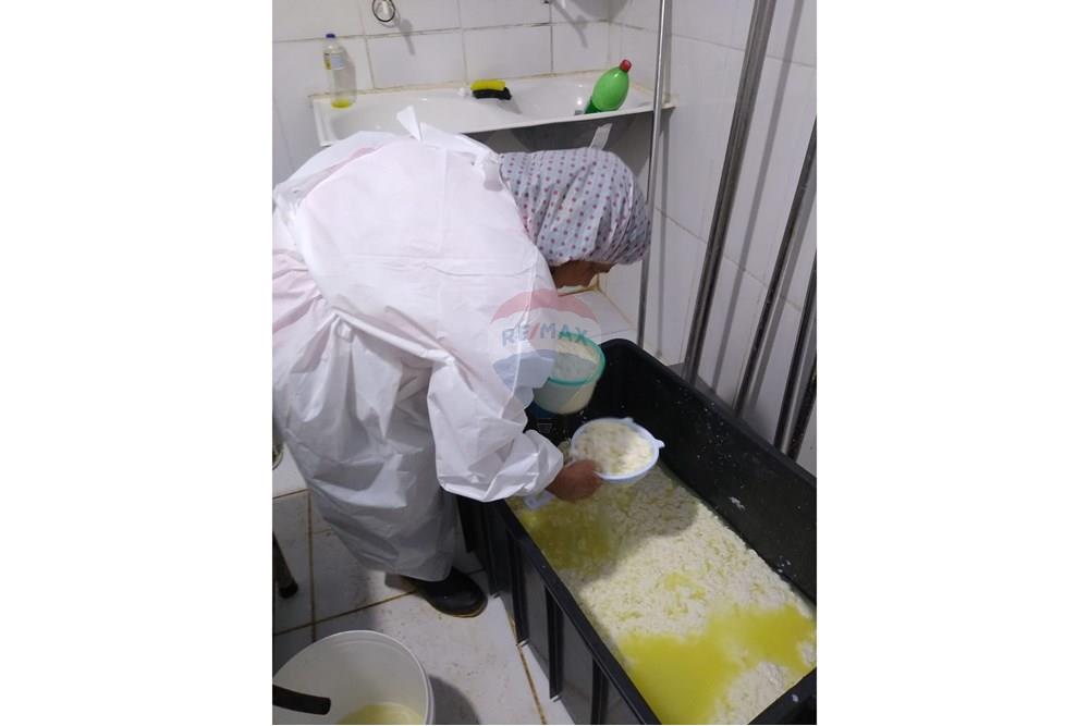 Chácara / Sítio / Fazenda - Venda - Juiz de Fora , Minas Gerais - 842e66f6-85d2-40e5-aa3b-478ec011822c.JPG - 860291033-68