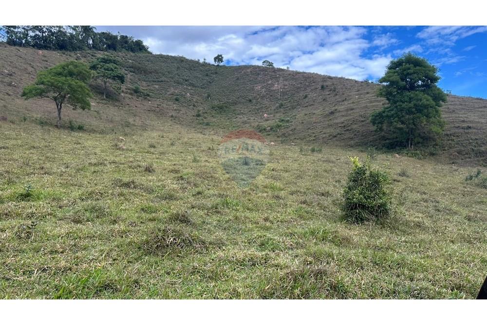 Chácara / Sítio / Fazenda - Venda - Lamim , Minas Gerais - 22.JPG - 860291033-108