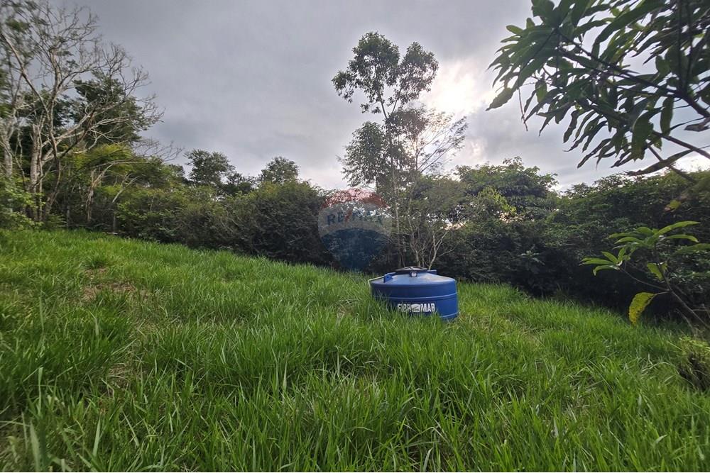 Chácara / Sítio / Fazenda - Venda - Juiz de Fora , Minas Gerais - 40.jpg - 860231001-221