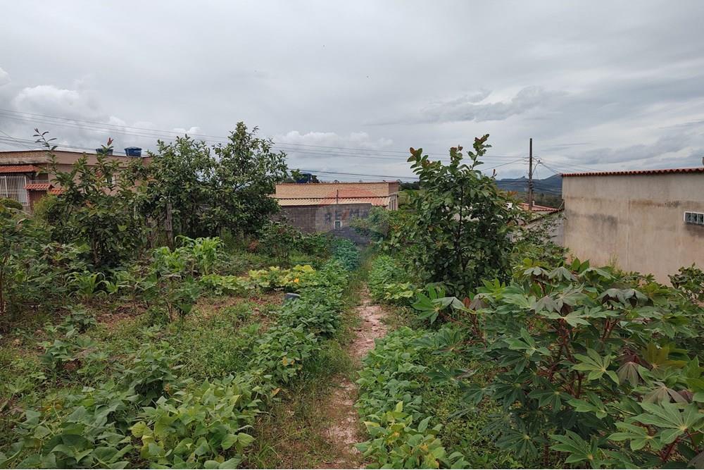 Terreno - Venda - Barbacena , Minas Gerais - WhatsApp Image 2024-12-20 at 10.57.44.jpeg - 860391002-52