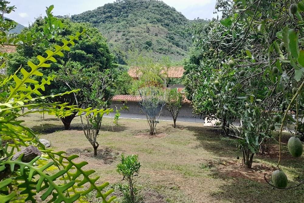 Chácara / Sítio / Fazenda - Venda - Juiz de Fora , Minas Gerais - 56.jpg - Quintal - 860231042-10