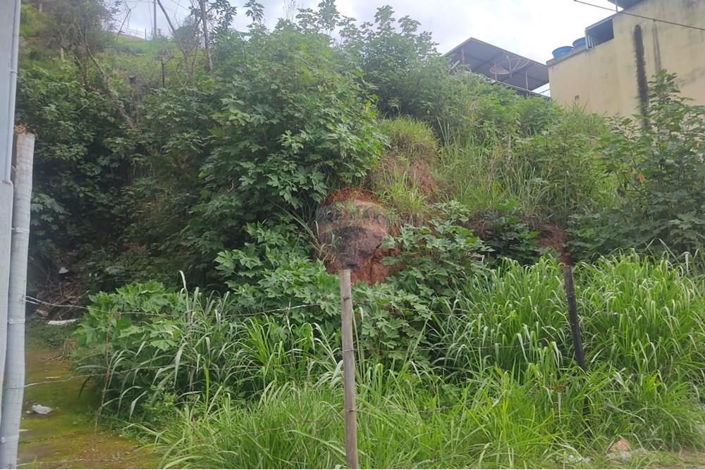 Terreno - Venda - Juiz de Fora , Minas Gerais - WhatsApp Image 2024-11-19 at 18.17.45 (2).jpeg - 860301018-291