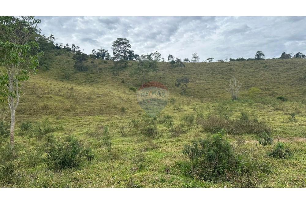 Chácara / Sítio / Fazenda - Venda - Lamim , Minas Gerais - 32.JPG - 860291033-108