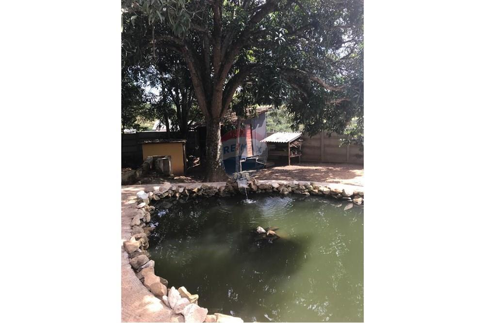 Chácara / Sítio / Fazenda - Venda - Lavras , Minas Gerais - WhatsApp Image 2024-11-06 at 17.03.17 (1).jpeg - 860471035-5