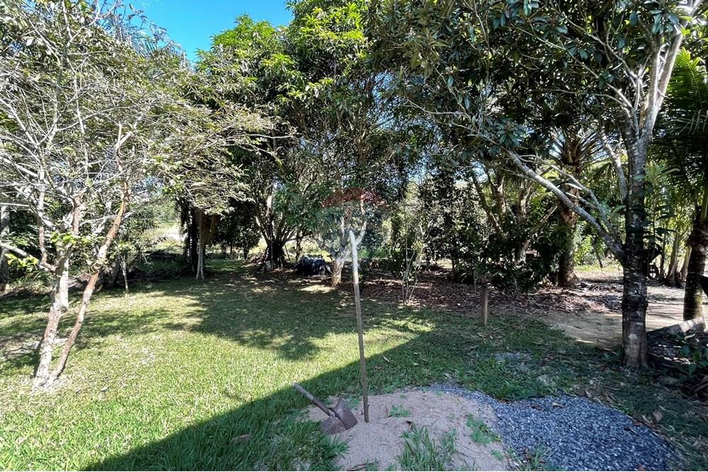 Chácara / Sítio / Fazenda - Venda - Goianá , Minas Gerais - IMG_4505.JPEG - 860301009-486