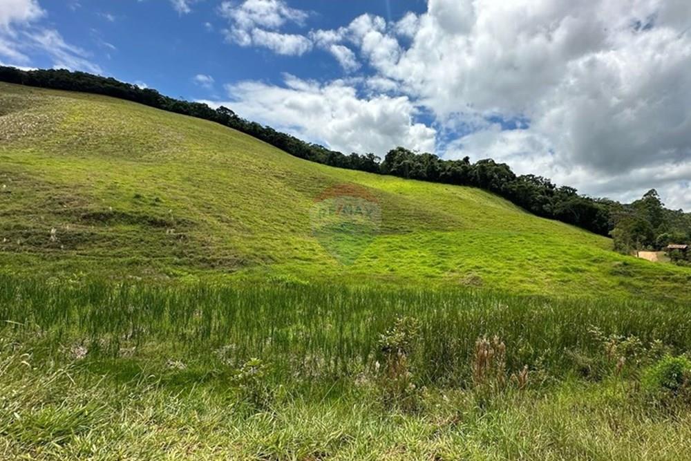 Chácara / Sítio / Fazenda - Venda - Lima Duarte , Minas Gerais - WhatsApp Image 2025-03-31 at 08.26.03.jpeg - 860291033-87