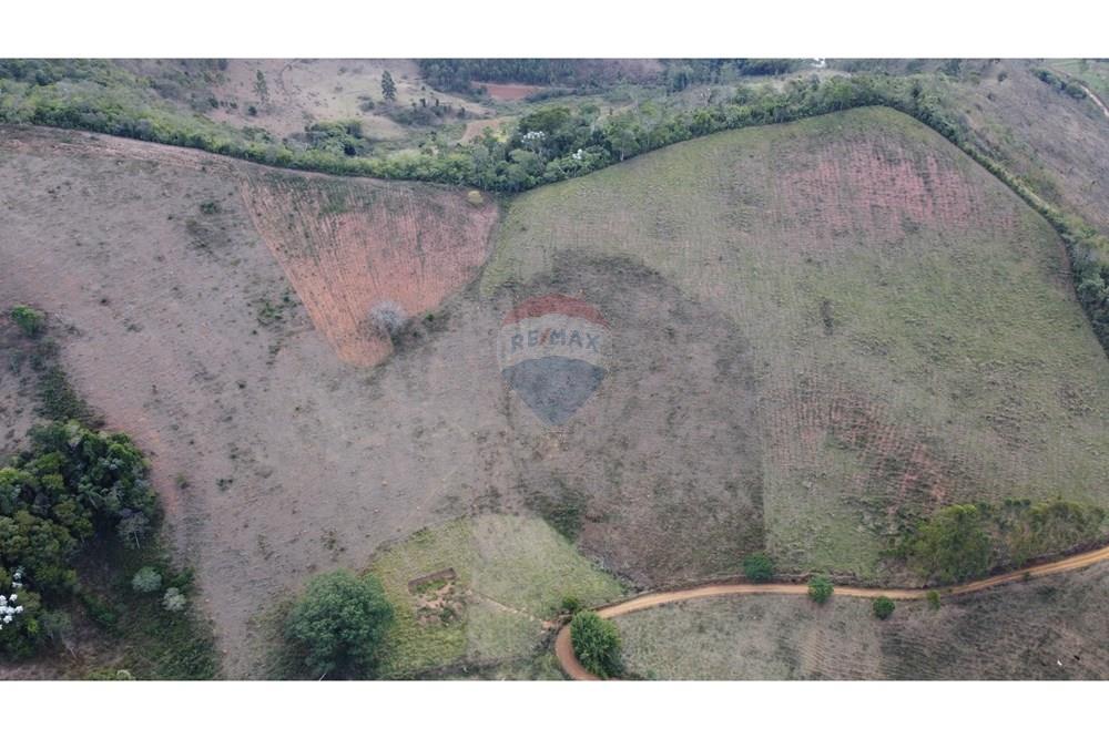 Chácara / Sítio / Fazenda - Venda - Ewbank da Câmara , Minas Gerais - WhatsApp Image 2025-02-19 at 16.44.55 (2).jpeg - 860301018-301