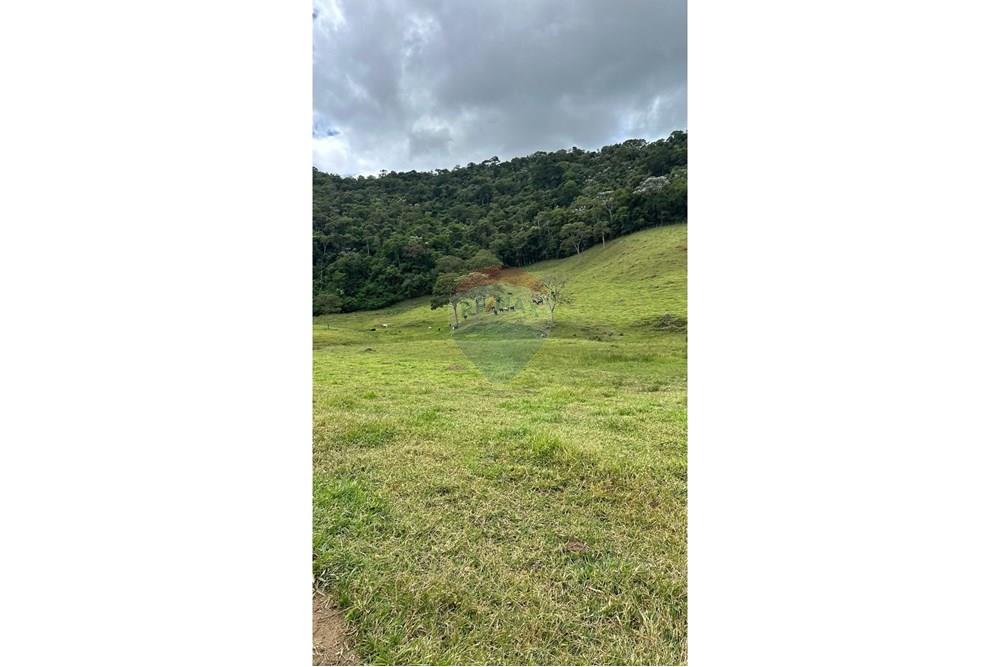 Chácara / Sítio / Fazenda - Venda - Lima Duarte , Minas Gerais - WhatsApp Image 2025-03-31 at 08.26.09 (1).jpeg - 860291033-87