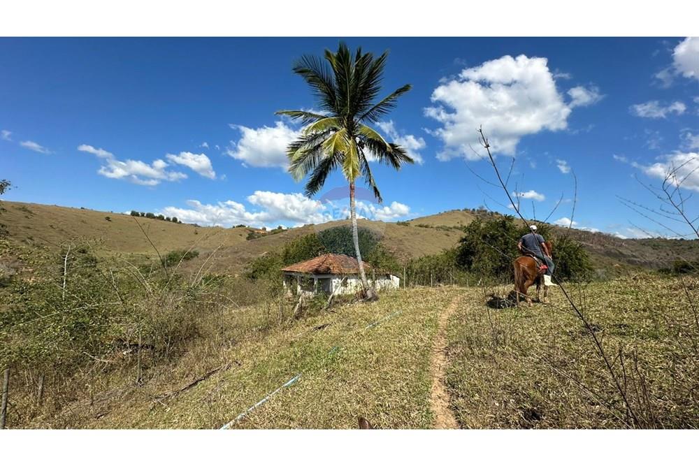 Chácara / Sítio / Fazenda - Venda - Cantagalo , Rio de Janeiro - 50e81c4d-e5fd-4e79-8877-f57b2e9561ce.JPG - 860291041-3