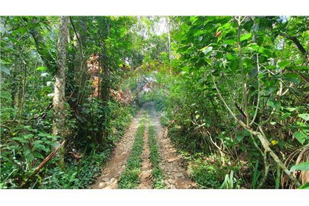 Terreno - Venda - Juiz de Fora , Minas Gerais - salva 3.jpg - 860231021-231