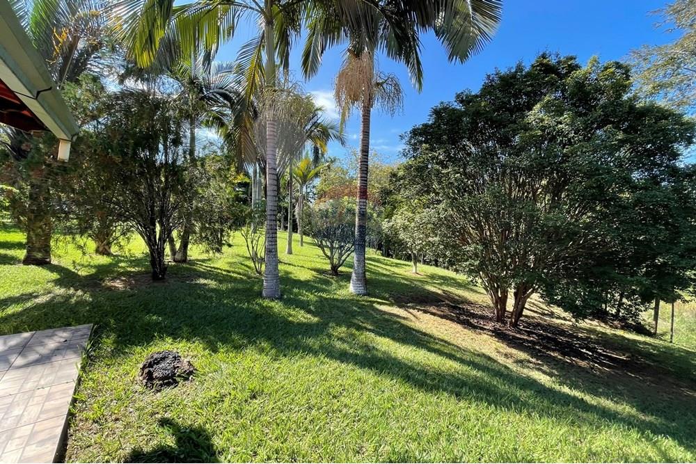 Chácara / Sítio / Fazenda - Venda - Goianá , Minas Gerais - IMG_4495.JPEG - 860301009-486