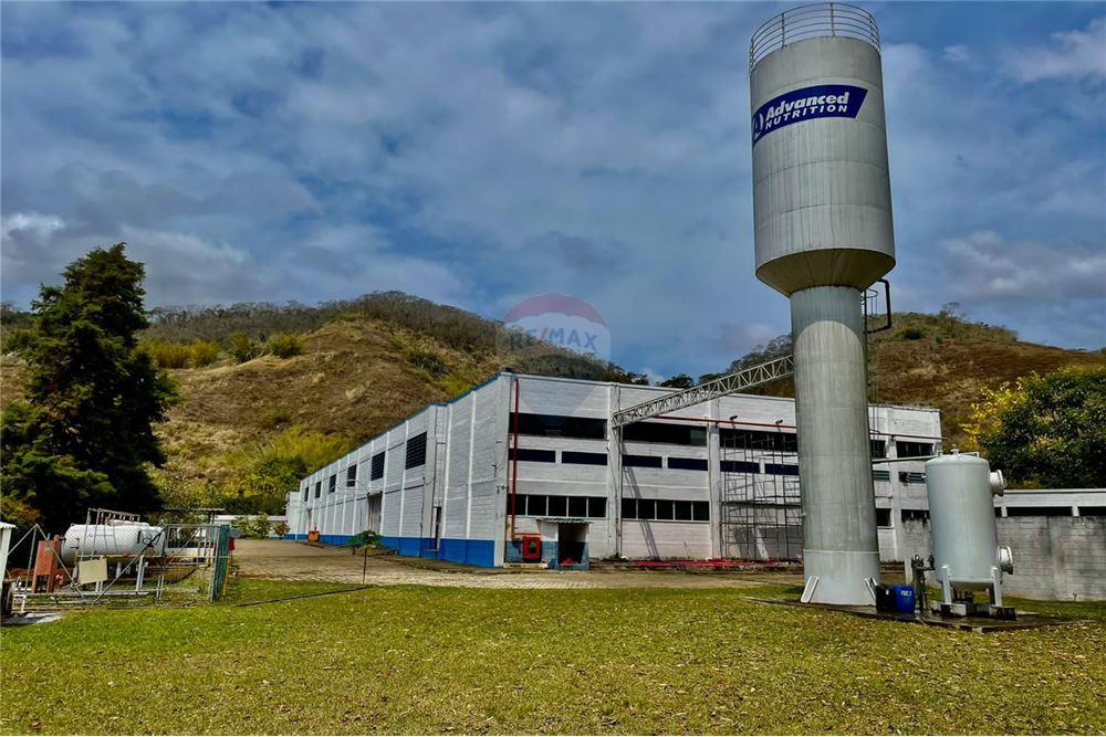 Galpão - Alugar - Areal , Rio de Janeiro - 4 - 860241088-211