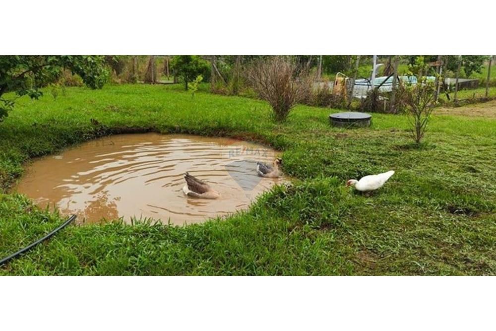 Chácara / Sítio / Fazenda - Venda - Juiz de Fora , Minas Gerais - IMG-20250411-WA0041.jpg - 860291033-94