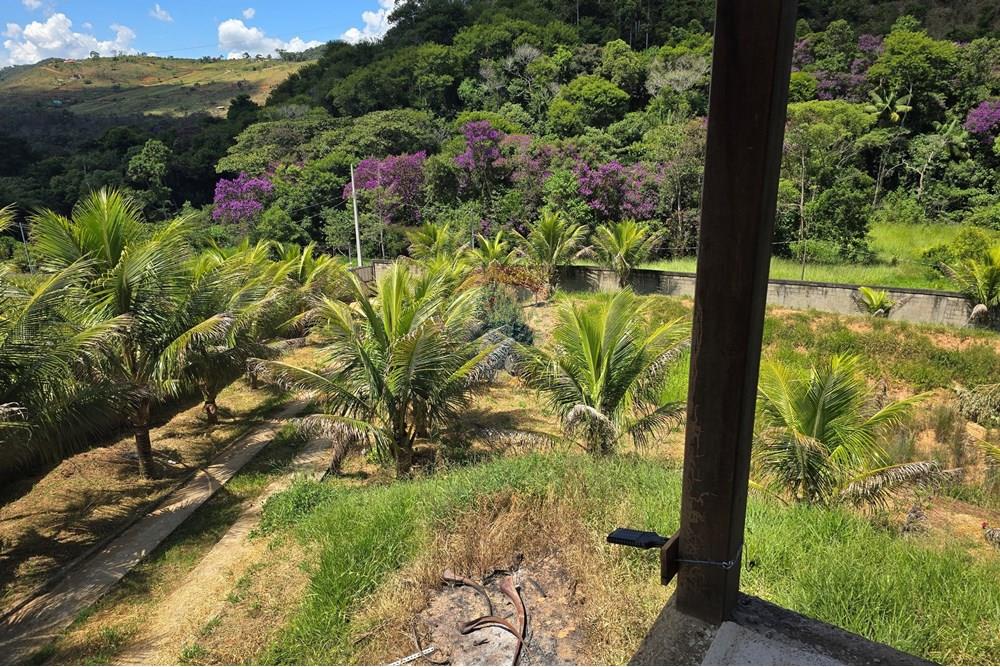 Chácara / Sítio / Fazenda - Venda - Ewbank da Câmara , Minas Gerais - 50.jpg - 860231001-211