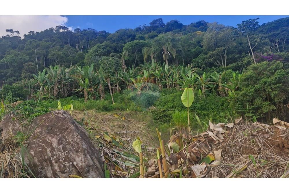 Terreno - Venda - Matias Barbosa , Minas Gerais - WhatsApp Image 2025-04-25 at 08.15.02 (2).jpeg - 860211017-59