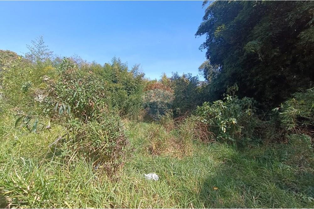 Terreno - Venda - Conselheiro Lafaiete , Minas Gerais - d98c5fa9-c4c2-4455-85b9-5354845f1199.jpeg - 860421022-139