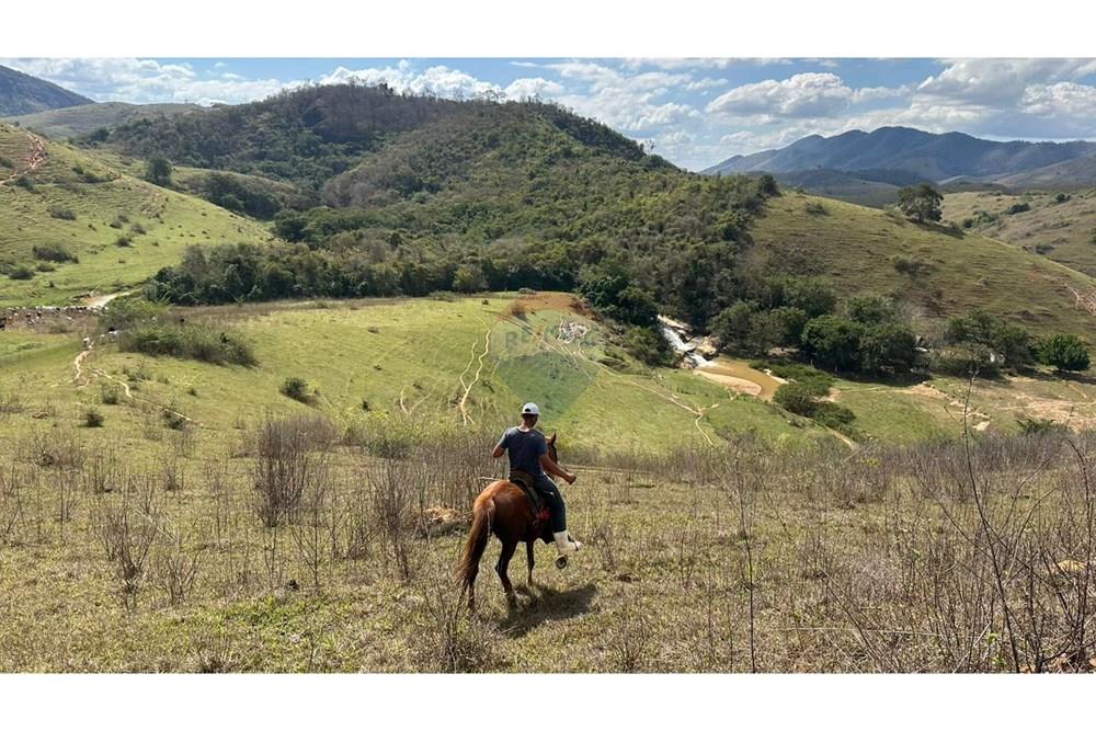 Chácara / Sítio / Fazenda - Venda - Cantagalo , Rio de Janeiro - d2f17173-06a7-47d8-948b-10bdc10f1798.JPG - 860291041-3