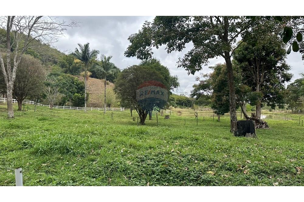 Chácara / Sítio / Fazenda - Venda - Juiz de Fora , Minas Gerais - WhatsApp Image 2025-02-12 at 18.15.04.jpeg - 860291033-75