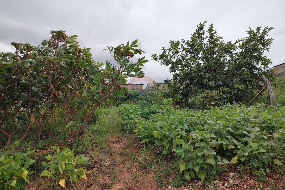 Terreno - Venda - Barbacena , Minas Gerais - WhatsApp Image 2024-12-20 at 10.57.42.jpeg - 860391002-52