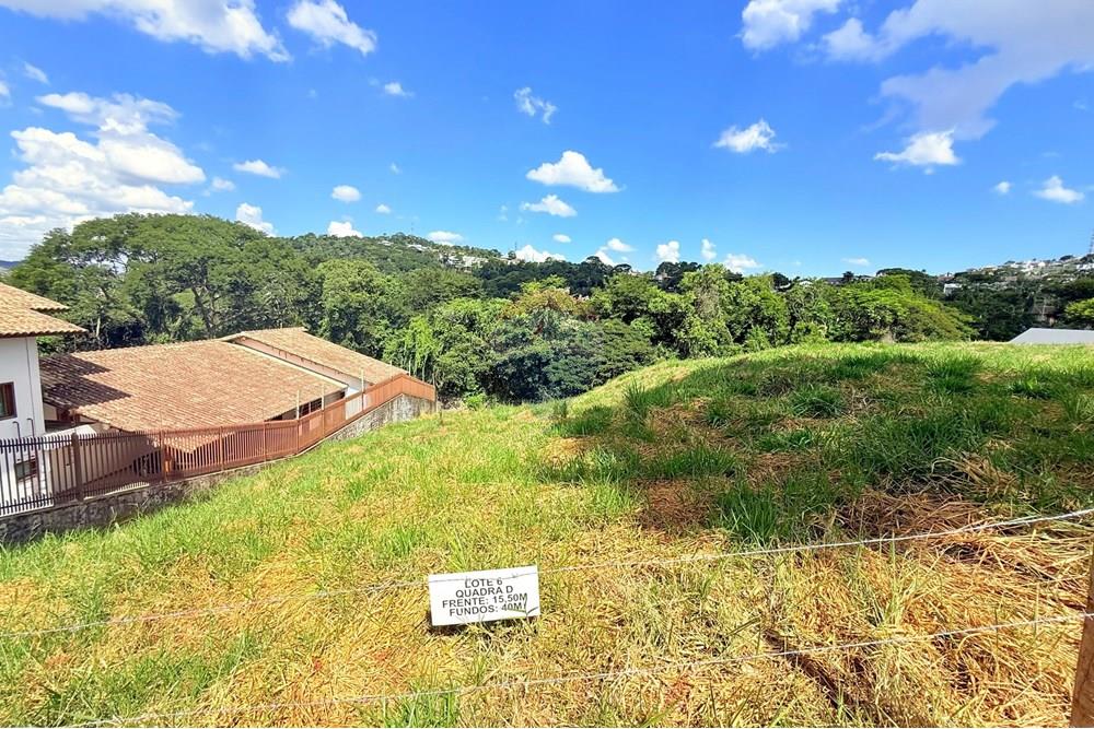 Terreno - Venda - Juiz de Fora , Minas Gerais - WhatsApp Image 2025-03-12 at 10.57.36.jpeg - 860211016-256