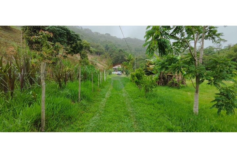 Chácara / Sítio / Fazenda - Venda - Juiz de Fora , Minas Gerais - IMG-20250411-WA0038.jpg - 860291033-94
