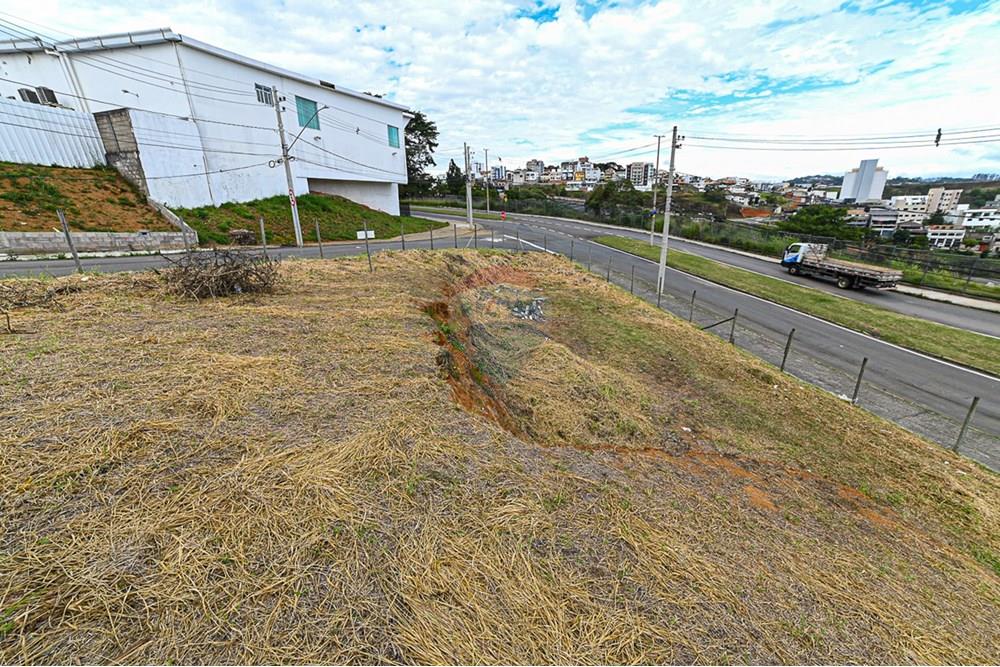 Terreno - Venda - Juiz de Fora , Minas Gerais - michaelseed photo_202401-50.jpg - Banheiro - 860211132-1