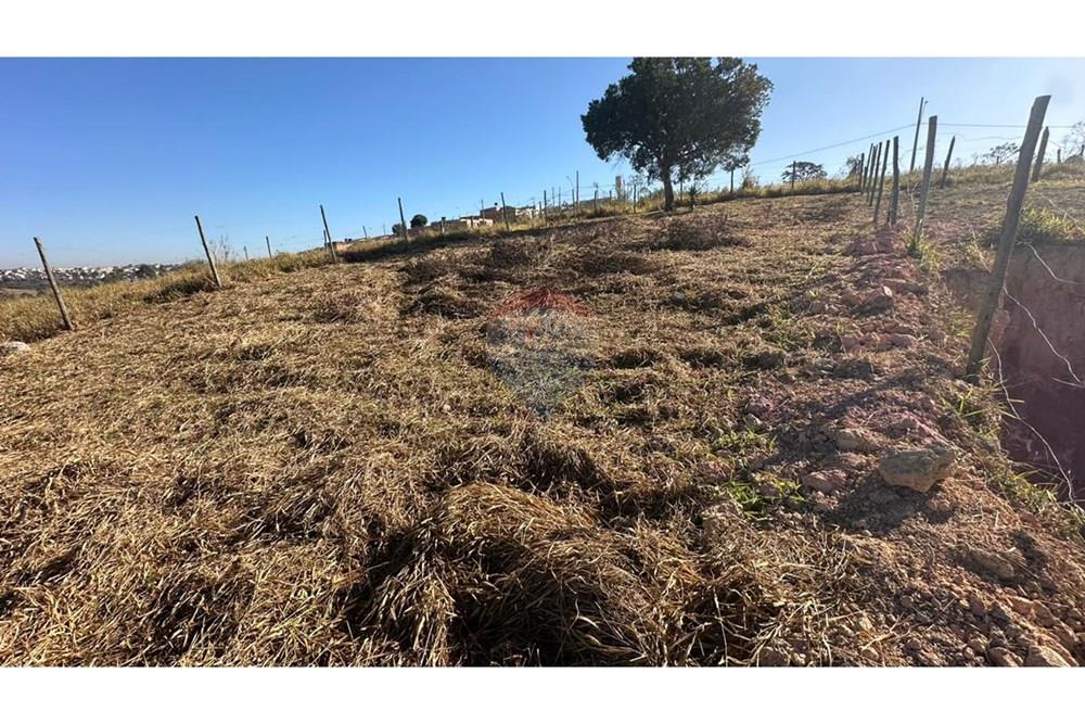 Terreno - Venda - Conselheiro Lafaiete , Minas Gerais - WhatsApp Image 2025-03-06 at 13.49.57.jpeg - 860421029-132