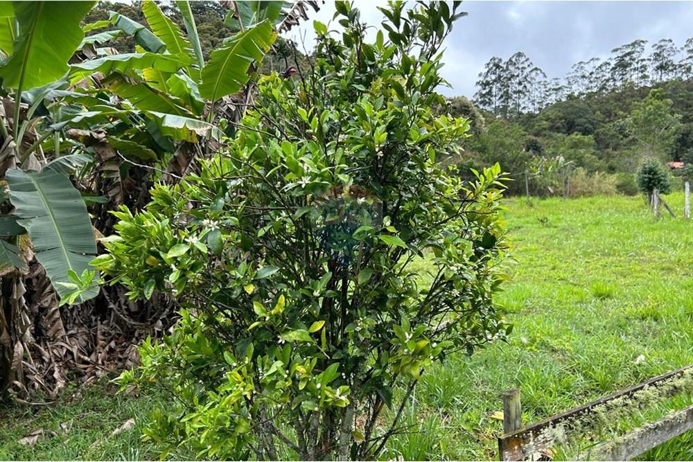 Chácara / Sítio / Fazenda - Venda - Juiz de Fora , Minas Gerais - BCB16600-16E2-49A1-97EB-F8CD0F395B45.jpeg - 860291033-94
