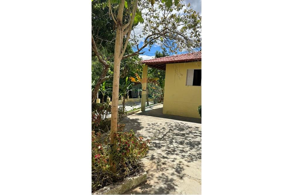 Chácara / Sítio / Fazenda - Venda - São João Nepomuceno , Minas Gerais - 2912ace9-4628-4132-957a-85422e21d027.JPG - 860291033-93