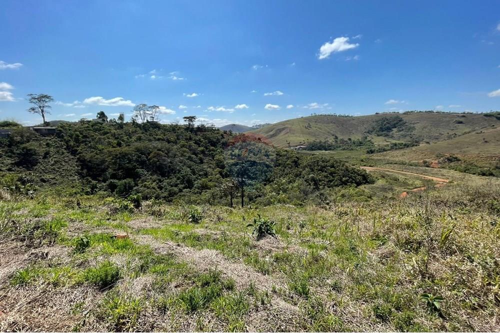 Terreno - Venda - Juiz de Fora , Minas Gerais - IMG-20250922-WA0010.jpg - 860271019-5