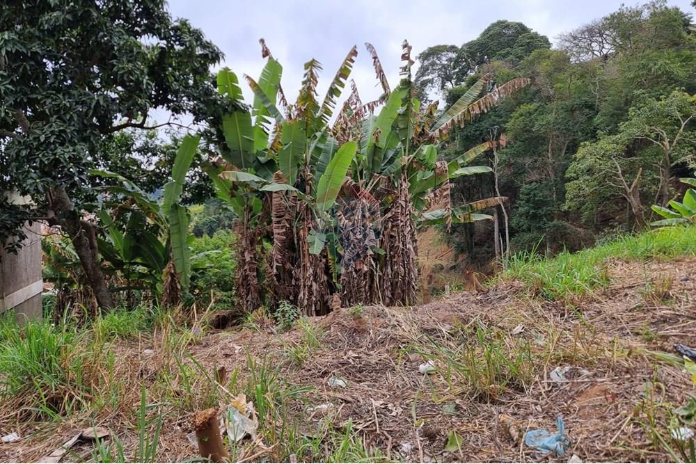 Terreno - Venda - Juiz de Fora , Minas Gerais - IMG-20250729-WA0136.jpg - 860211131-10