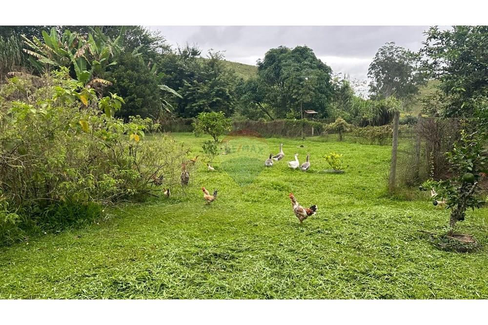 Chácara / Sítio / Fazenda - Venda - Rio Novo , Minas Gerais - RIO NOVO (52).JPG - 860291033-98