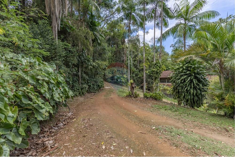 Chácara / Sítio / Fazenda - Venda - Juiz de Fora , Minas Gerais - FOTOIMOB-8.jpg - 860431023-209